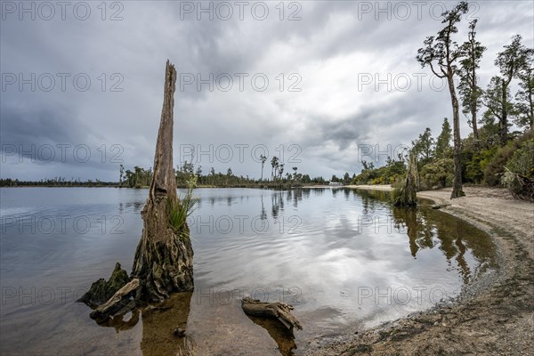 Iveagh Bay on Lake Brunner