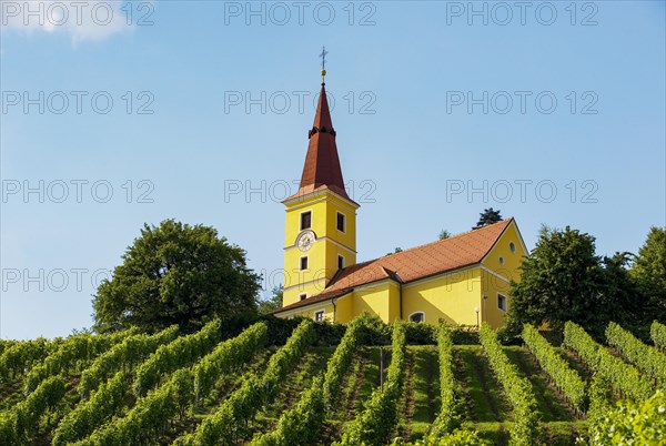 Kapfenstein