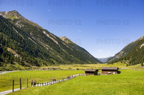 Hikers in the Krimml Ache Valley