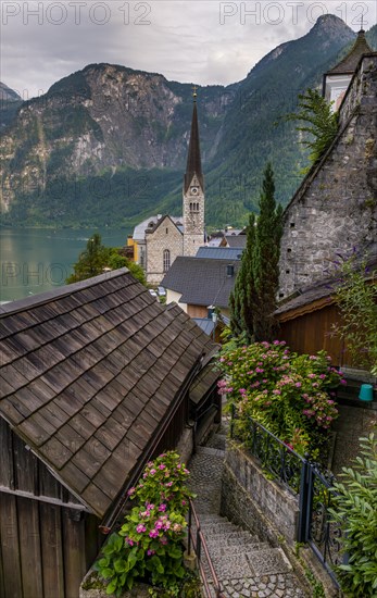Narge Gasse