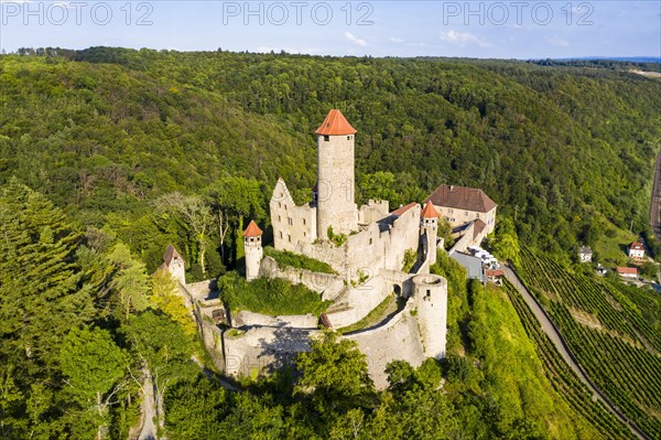 Aerial view of Hornberg Castle