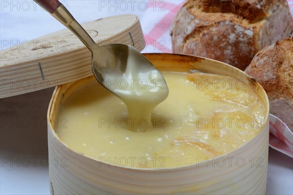 Vacherin Mont d'Or