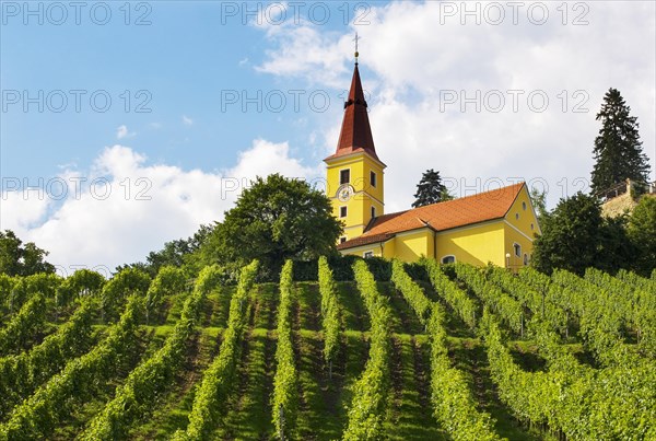 Kapfenstein