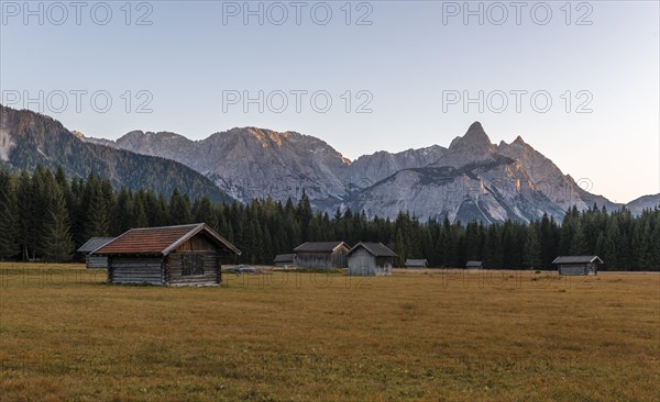Meadow with Heustadln