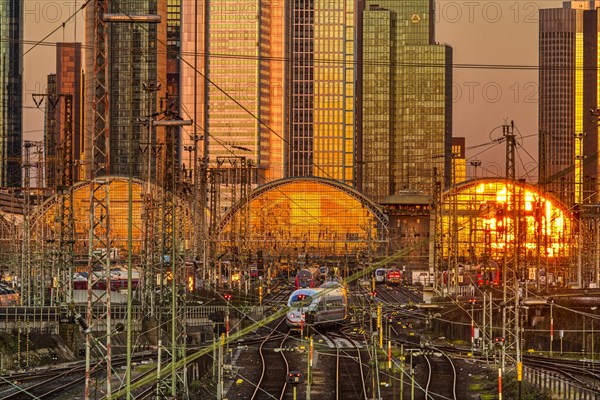 Sunset is reflected in the central station
