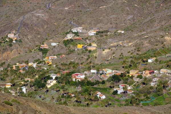 Alojera