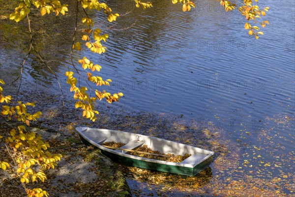 Rowing boat at the Schlossteich