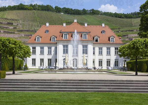 Wackerbarth Castle