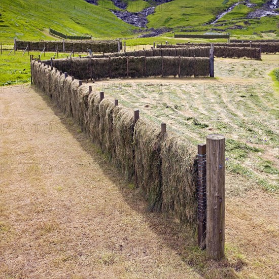 Traditional drying rack for drying grass and making hay