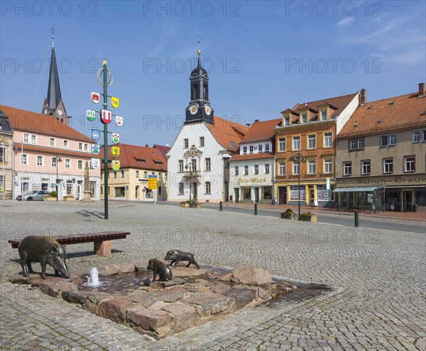 Market place with Wilde Sau fountain town hall and Nikolaikirche