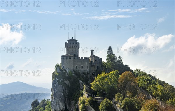Torre Falesia