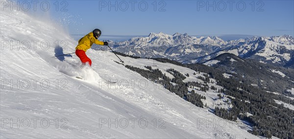 Skier