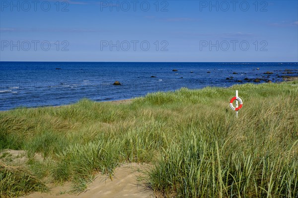Lifebelt in the dunes with sea