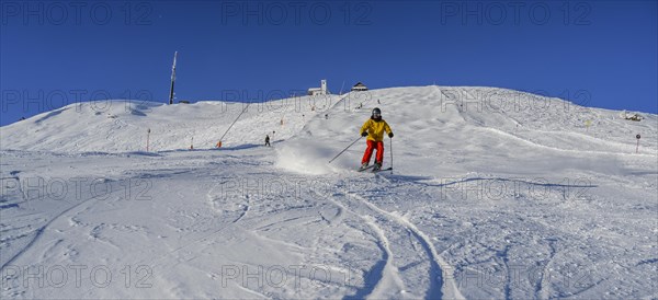 Skier