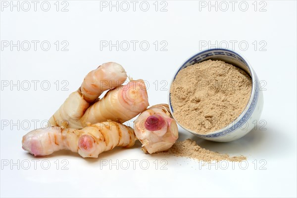 Galangal roots and galangal powder in bowl