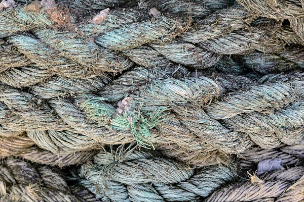Ropes
