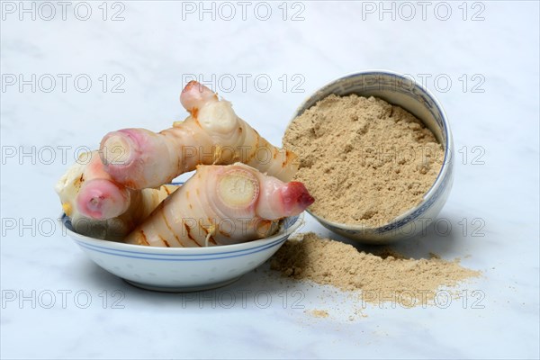 Galangal root and galangal powder in bowl