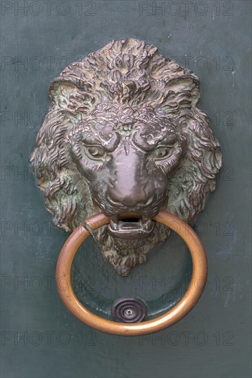 Lion head as door knocker
