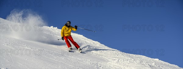 Skier