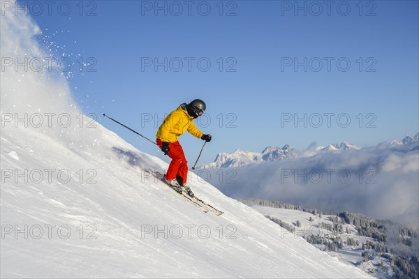 Skier