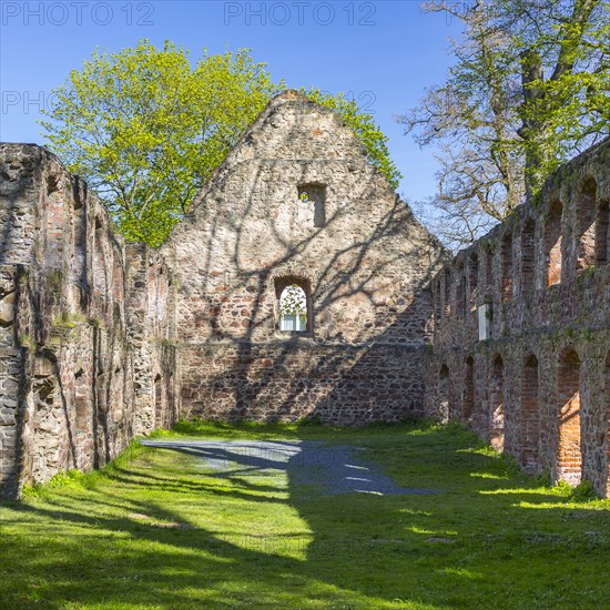 Ruin of the monastery Nimbschen
