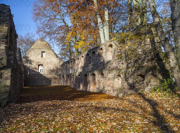 Nimbschen Monastery Ruins