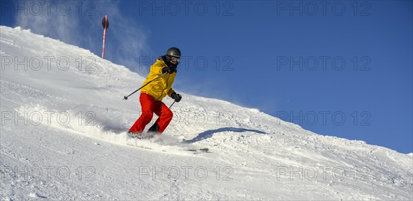 Skier