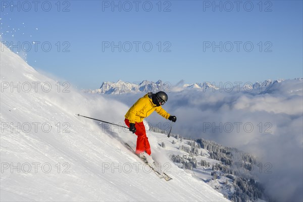 Skier