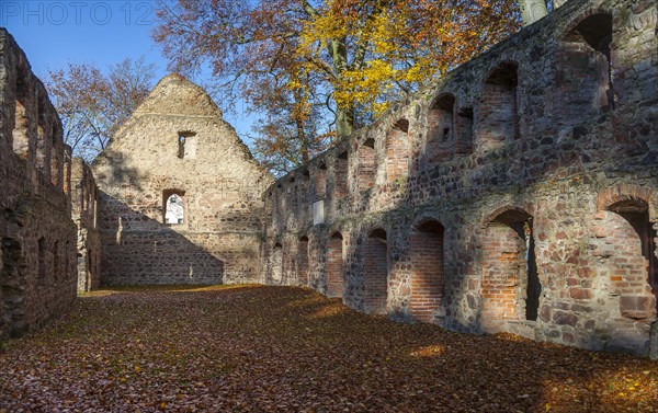 Nimbschen Monastery Ruins