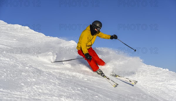 Skier