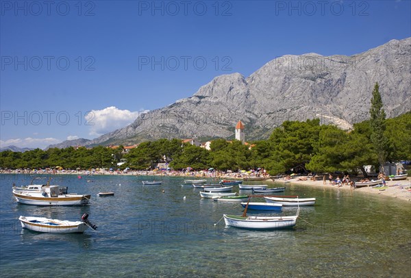 Village view with fishing boats