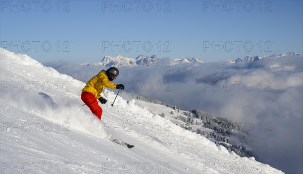 Skier