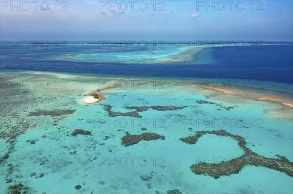 Reef top with lagoon and corals