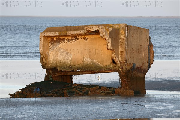 Bunker remains of an anti-aircraft gun position from World War II on the Minsener Oog power station in the evening light
