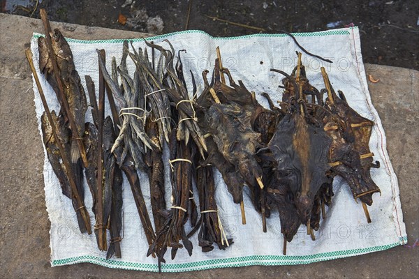 Dried fish