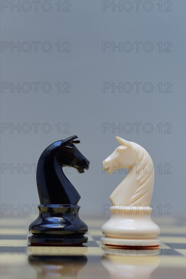 Two chessmen on chessboard