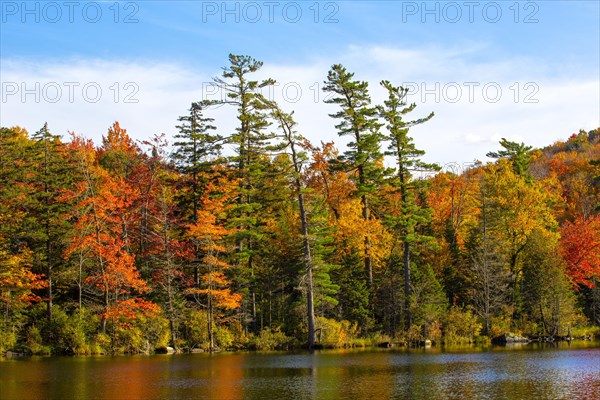 Baker Pond in autumn