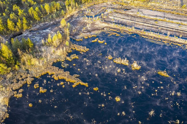 Wet peat extraction area