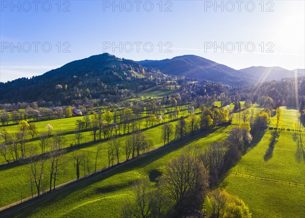 Hedge landscape in the Isar valley near Gaissach