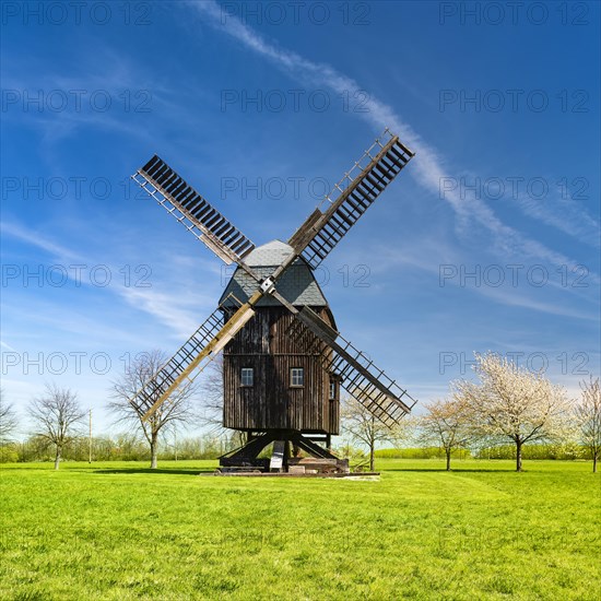 Buck Windmill Bechstedtstrass
