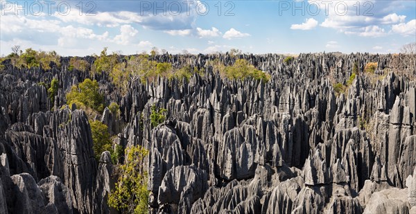 Karst landscape Tsingy de Bemaraha, Tsingy de Bemaraha National Park