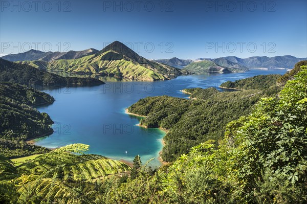 View over the Marlborough Sounds, turquoise sea