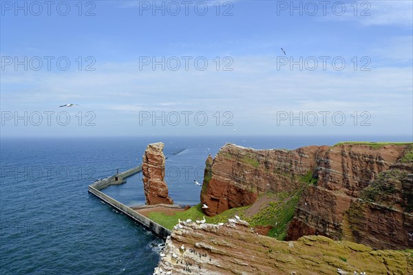 Helgoland, View of the landmark Lange Anna