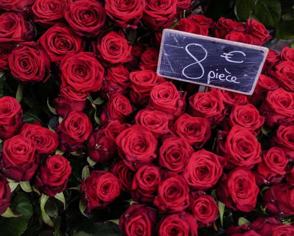 Red roses with price list on Valentine's Day
