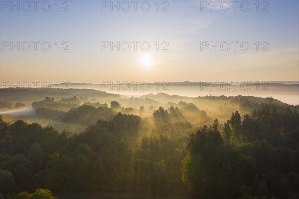 Forest landscape with fog in the morning light