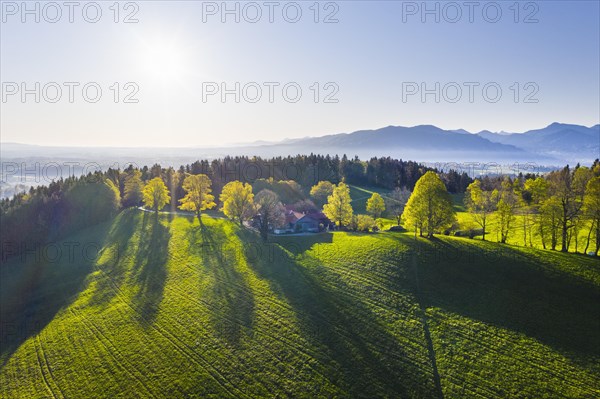 Buchberg near Wackersberg in the morning light