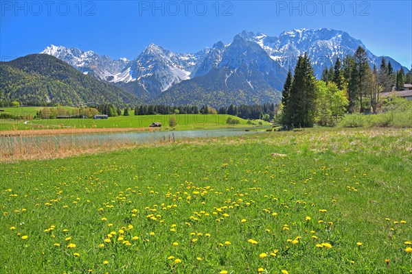 Spring meadow at the Schmalensee in front of Karwendel Mountains