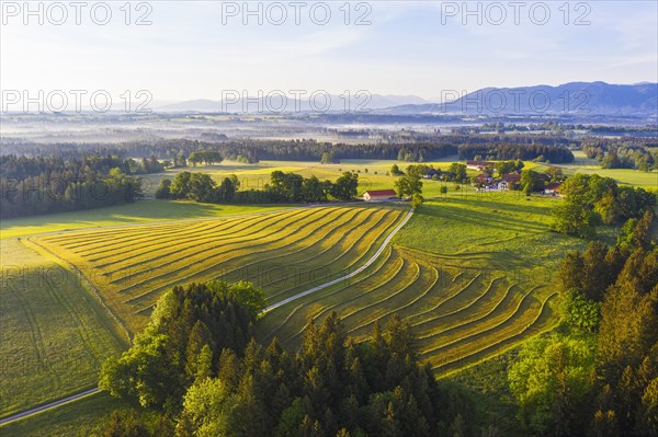 Mowed meadow and hamlet Hofstaett