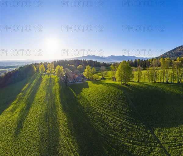 Buchberg near Wackersberg in the morning light