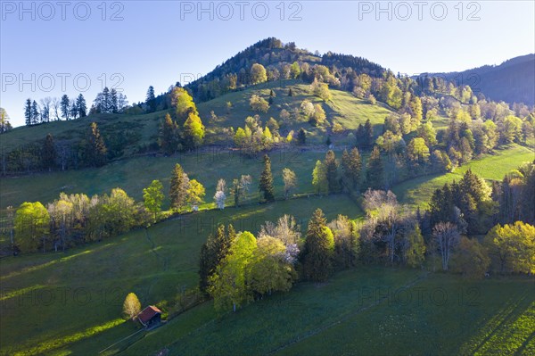 Sonntratn mountain peak in spring